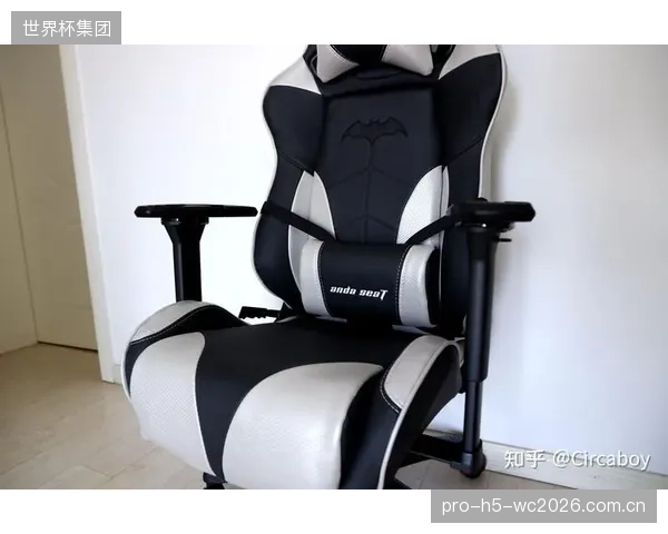 到2029年，为每张出厂的职业电竞椅建立包含海绵质检数据的“数字化生命周期档案”将成为品牌竞争的主战场